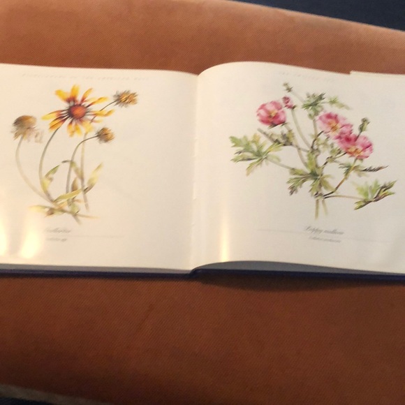 WILDFLOWERS OF THE AMERICAN WEST • HARDCOVER COFFEE TABLE BOOK - Picture 12 of 15